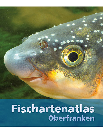 Cover Fischartenatlas Oberfranken