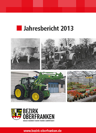 Cover Jahresbericht 2013