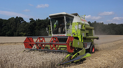 Eine große weiß-grüne Landmaschine fährt über ein Kornfeld