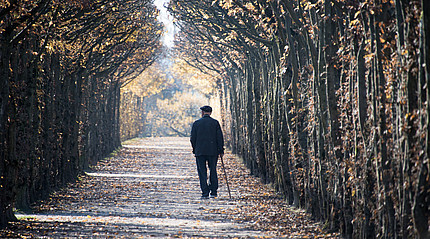 Ein alter Mann spaziert eine Baumreihe entlang