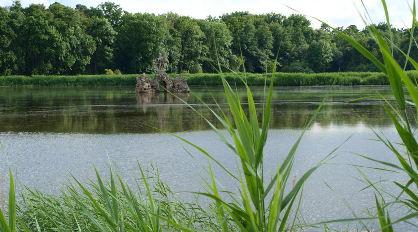 Das Bild zeigt einen Teich.