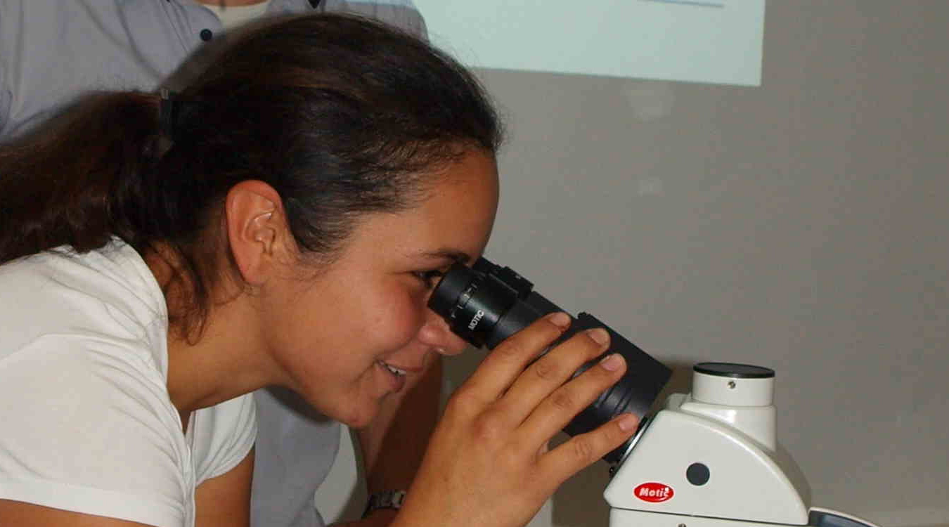 Unter dem Mikroskop kann man Fischparasiten gut erkennen.