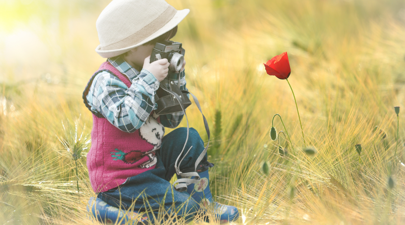 Ein kleiner Junge hält eine Kamera in der Hand und fotografiert eine rote Blume.