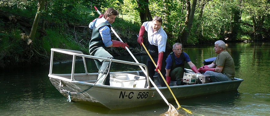 Zwei Männer fischen aus einem Boot heraus mit einem Käscher Fische aus dem Wasser