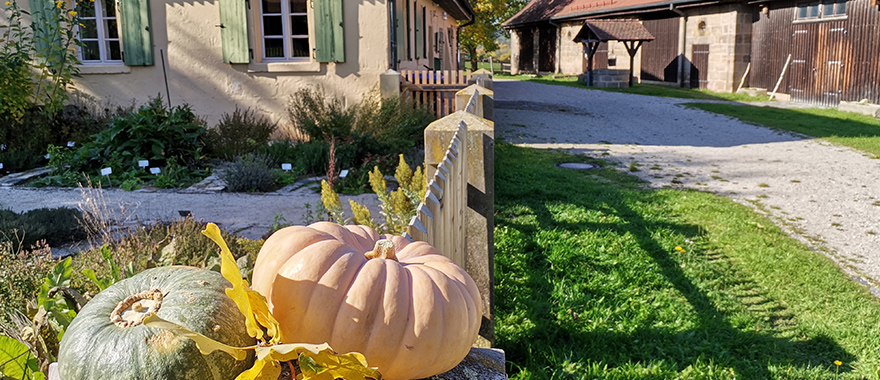Herbstferien- und Adventsprogramm im Museum für bäuerliche Arbeitsgeräte. Auf der linken Seite des Fotos steht ein gelbes Sandsteingebäude. Davor befindet sich ein Kräutergarten, auf dessen Zaunpfosten zwei Kürbisse liegen. Im Hintergrund, auf der rechten Seite, sind ein Brunnen und eine Scheune erkennbar.
